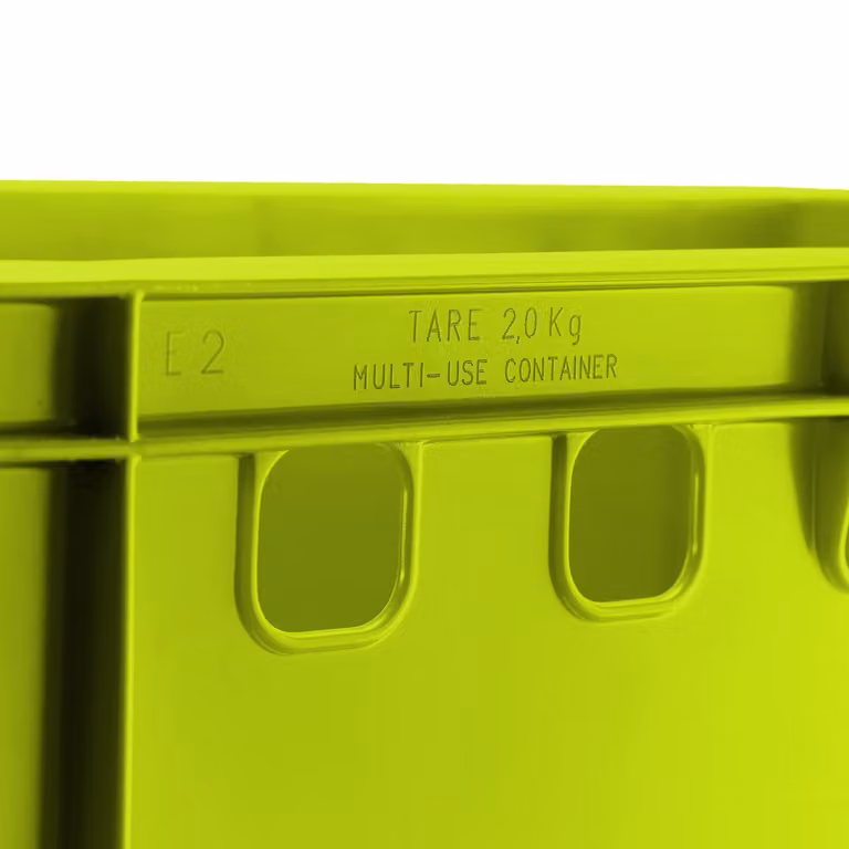 Cassa per carne E2 verde chiaro 60x40x20cm Cassa di stoccaggio Eurobox dalla Germania sicura per gli alimenti, robusta, impilabile