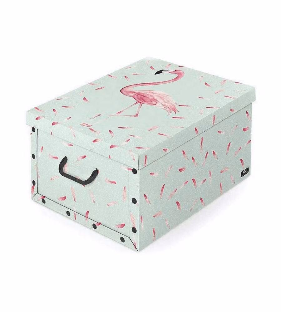 Domopak Living Scatola con Maniglie - Assortiti - 39x50x24 cm
