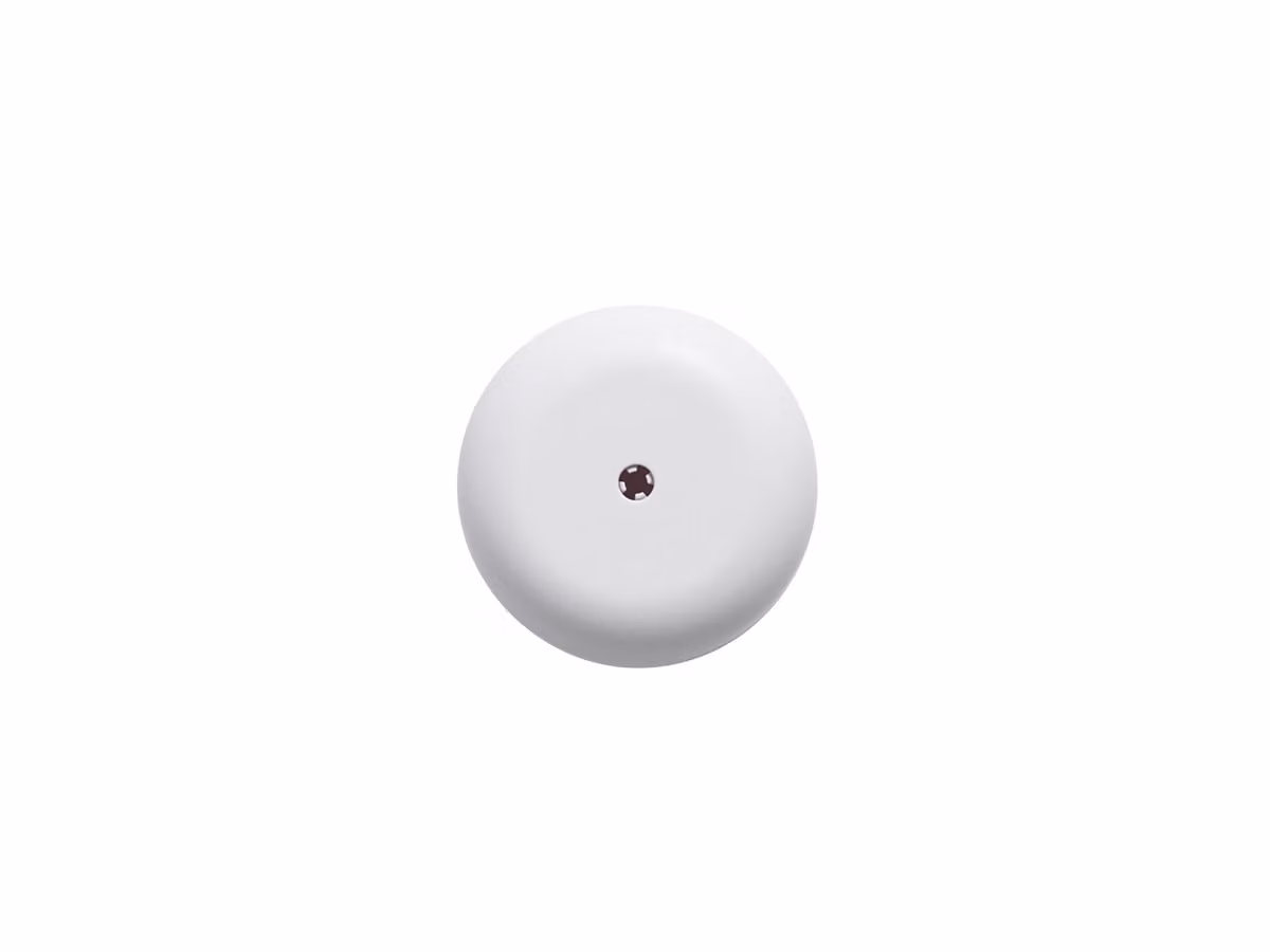 Rosone a Soffitto - Bianco