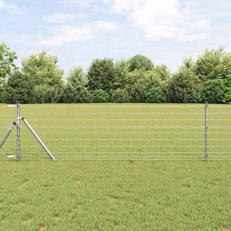Maison Exclusive - Recinzione Eurozaun, 0,8 x 10 m, ferro rivestito in PVC