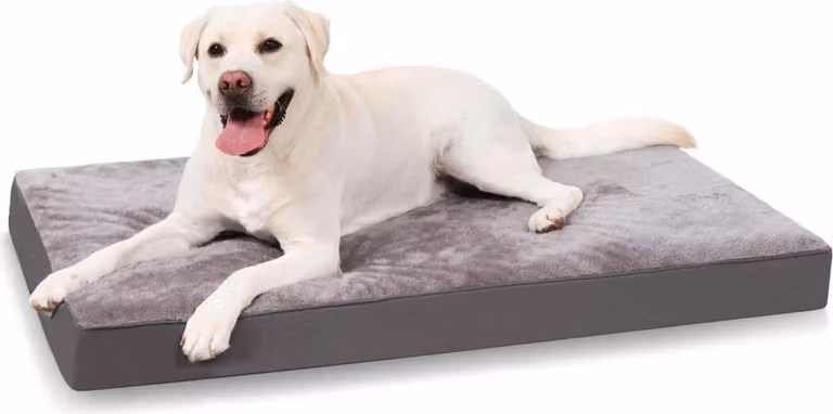 Letto ortopedico di alta qualità per cani di taglia grande XL cuscino lavabile per cani materassino per cani sfoderabile in grigio scuro 105x70x8cm