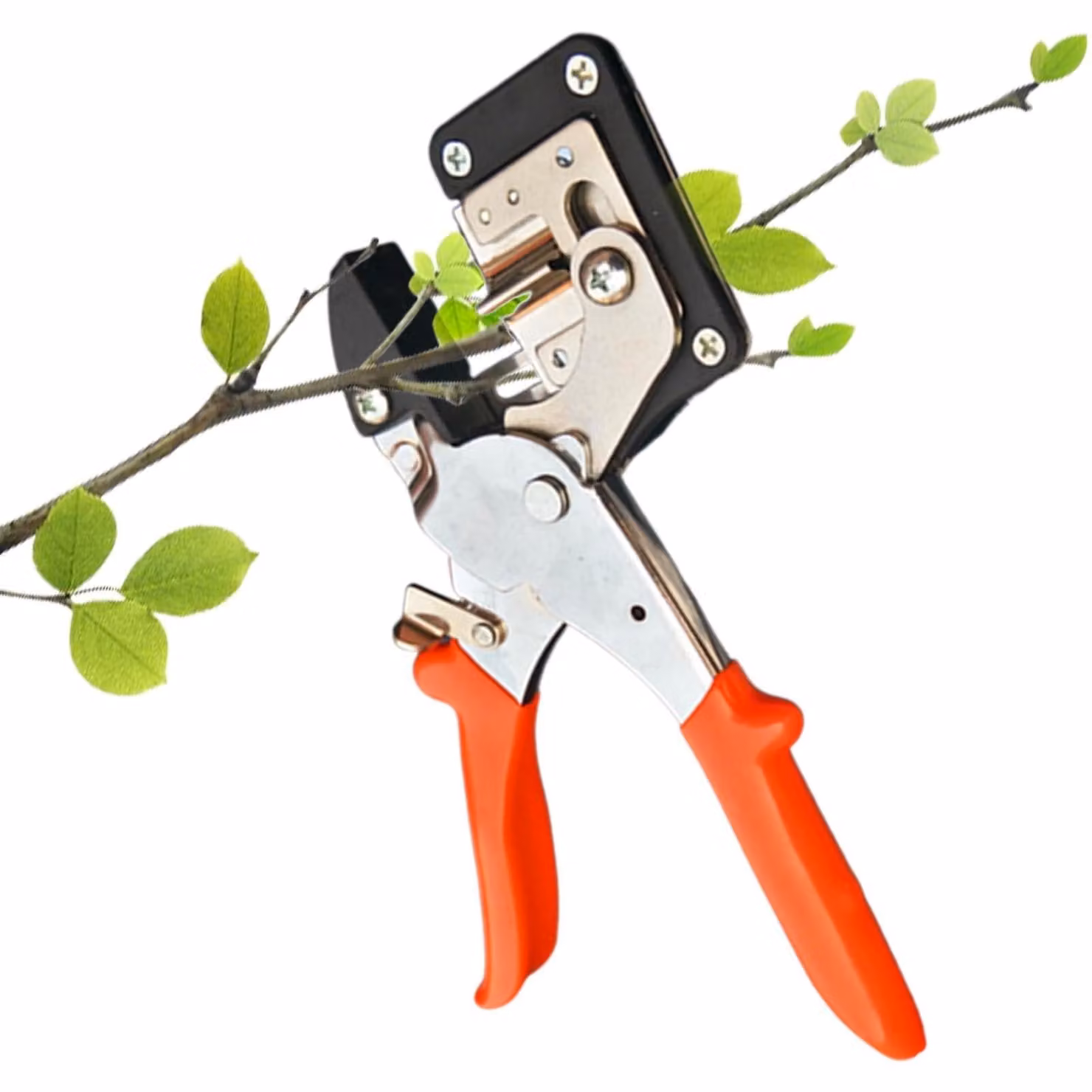 Set di attrezzi per la potatura del giardino, per un lavoro di potatura efficiente