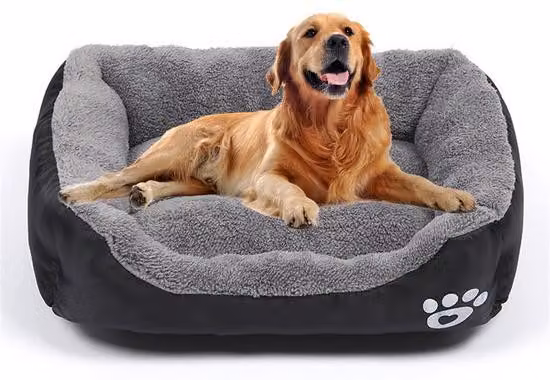 Cuccia per cani di piccola taglia - Materasso lavabile per animali - Cuccia traspirante e confortevole - Adatta a cani fino a 3 kg - 43 cm x 32 cm