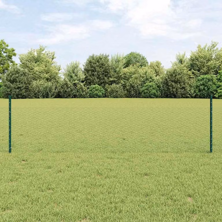 Maison Exclusive - Recinzione con Posto Verde 0,5 x 10 m Acciaio e PVC