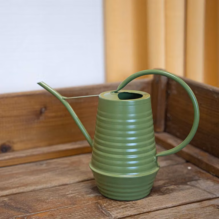 Esschert Design annaffiatoio decorativo Acciaio al carbonio zincato verde celeste 1 L accessori da giardino