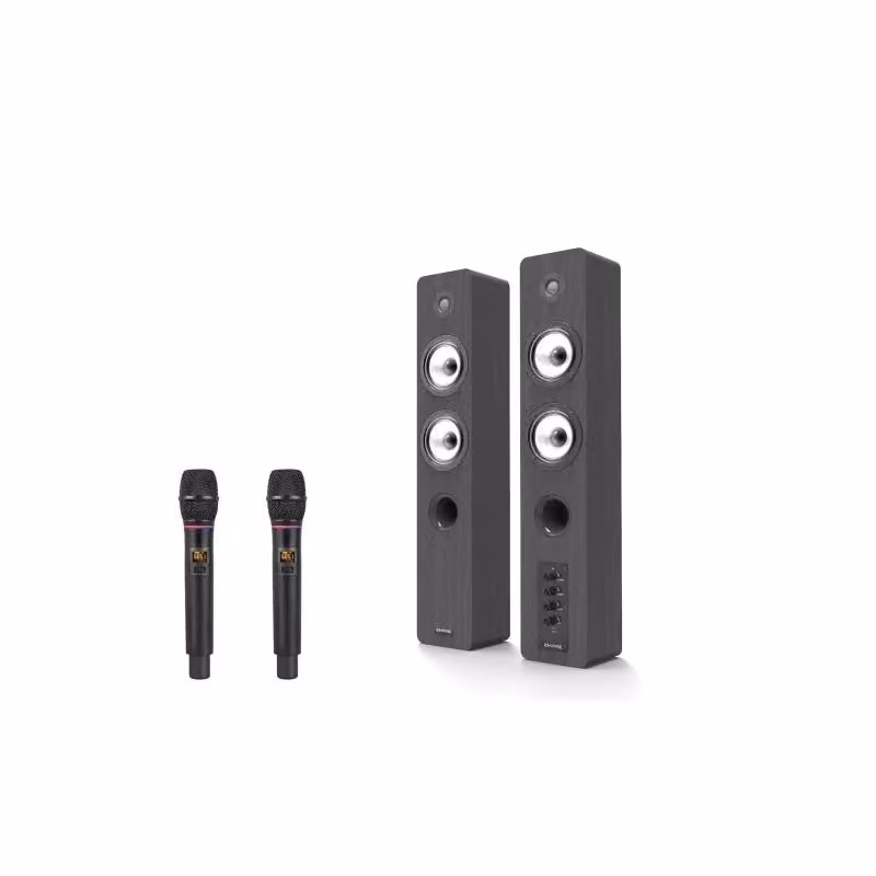 Kit audio professionale Empire AV.PROEDGE2M con 2 microfoni radio, colore nero – 2