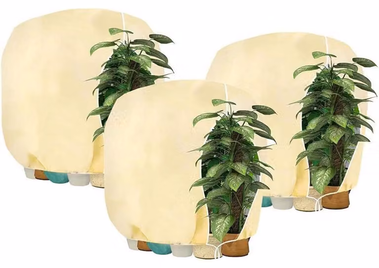Copertura protettiva invernale per piante, con cerniera, 160x240 cm, color beige, confezione da 3 pezzi