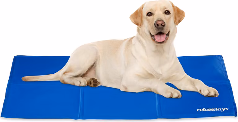 relaxdays Tappeto refrigerante blu per cani