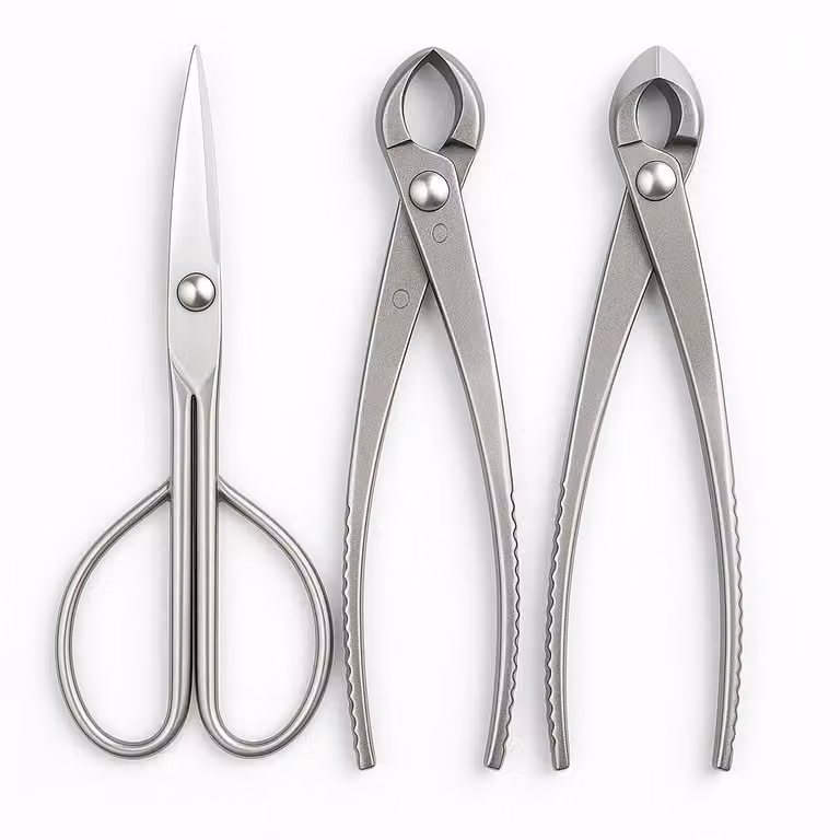 Set di attrezzi per bonsai da 3 pezzi – Forbici per bonsai, pinza a punta tonda e pinza concava – 21 cm – Acciaio inossidabile – Resistente alla ruggine e durevole – Set professionale per la cura dei bonsai