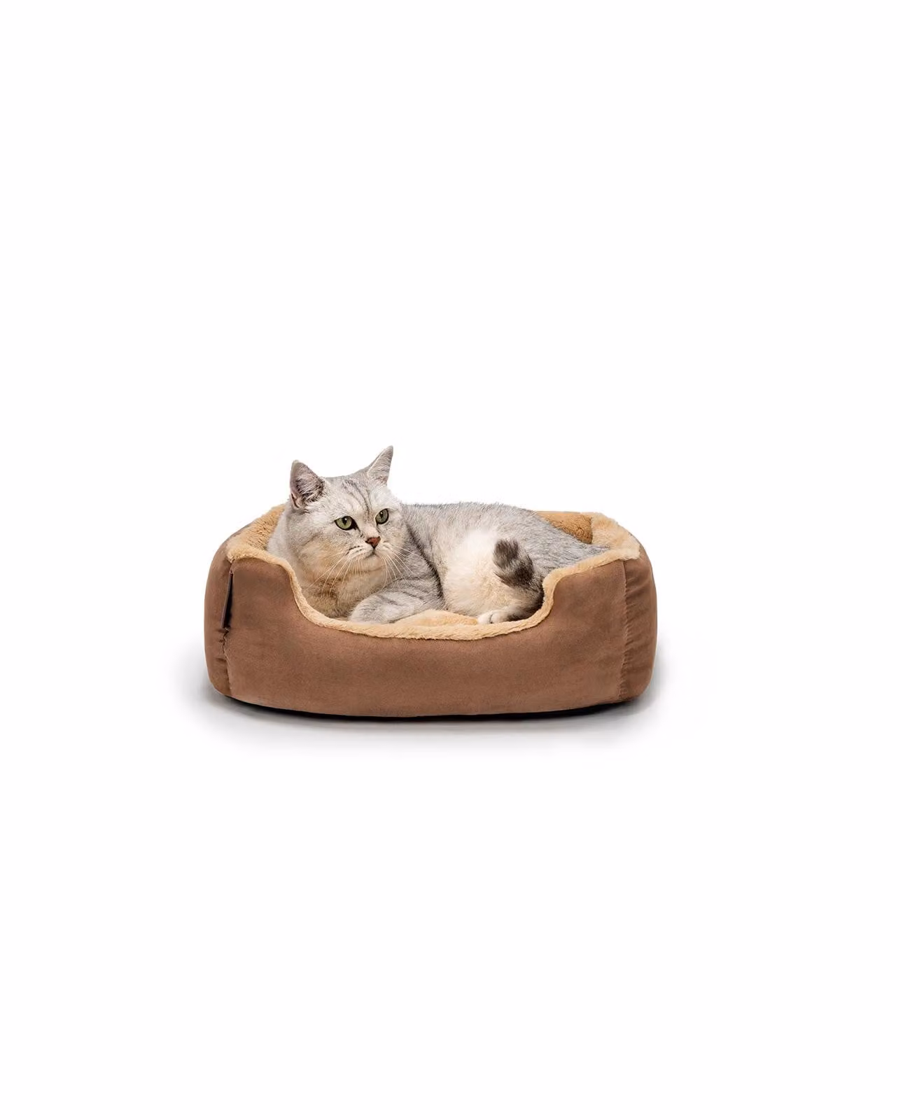 lettino per gatti lionto, soffice lettino con cuscino reversibile rimovibile e base antiscivolo, di facile manutenzione e moderno, 50x37 cm, marrone/beige