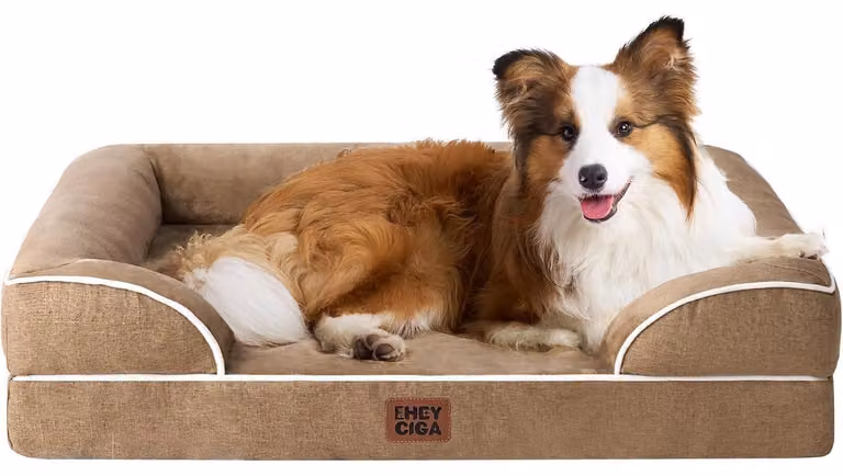 Cuccia ortopedica per cani, con memory foam, dimensioni 104x69 cm, lavabile, impermeabile, antiscivolo, con bordo rialzato, marca Kamel