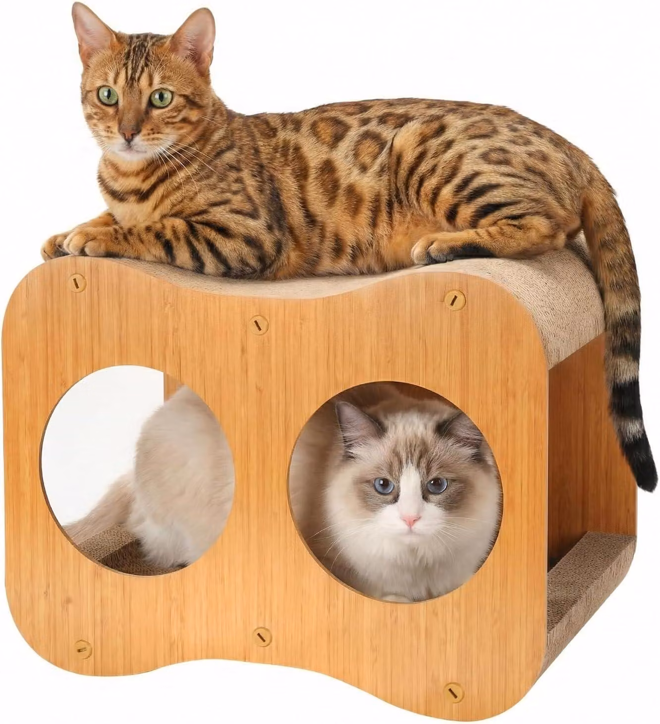 Albero per gatti, 2-in-1, realizzato in cartone, ideale per interni, con design curvo