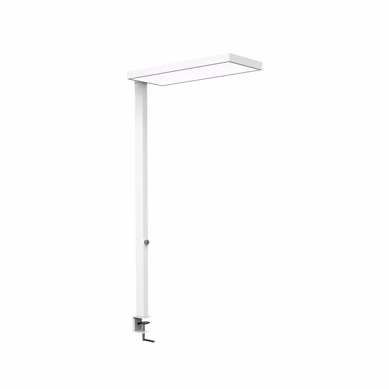 Maul Lampada con morsetto MAULjura, dimmerabile, Bianco / Opale, Studio / Ufficio, Alluminio, Moderno, Lampada con morsetto