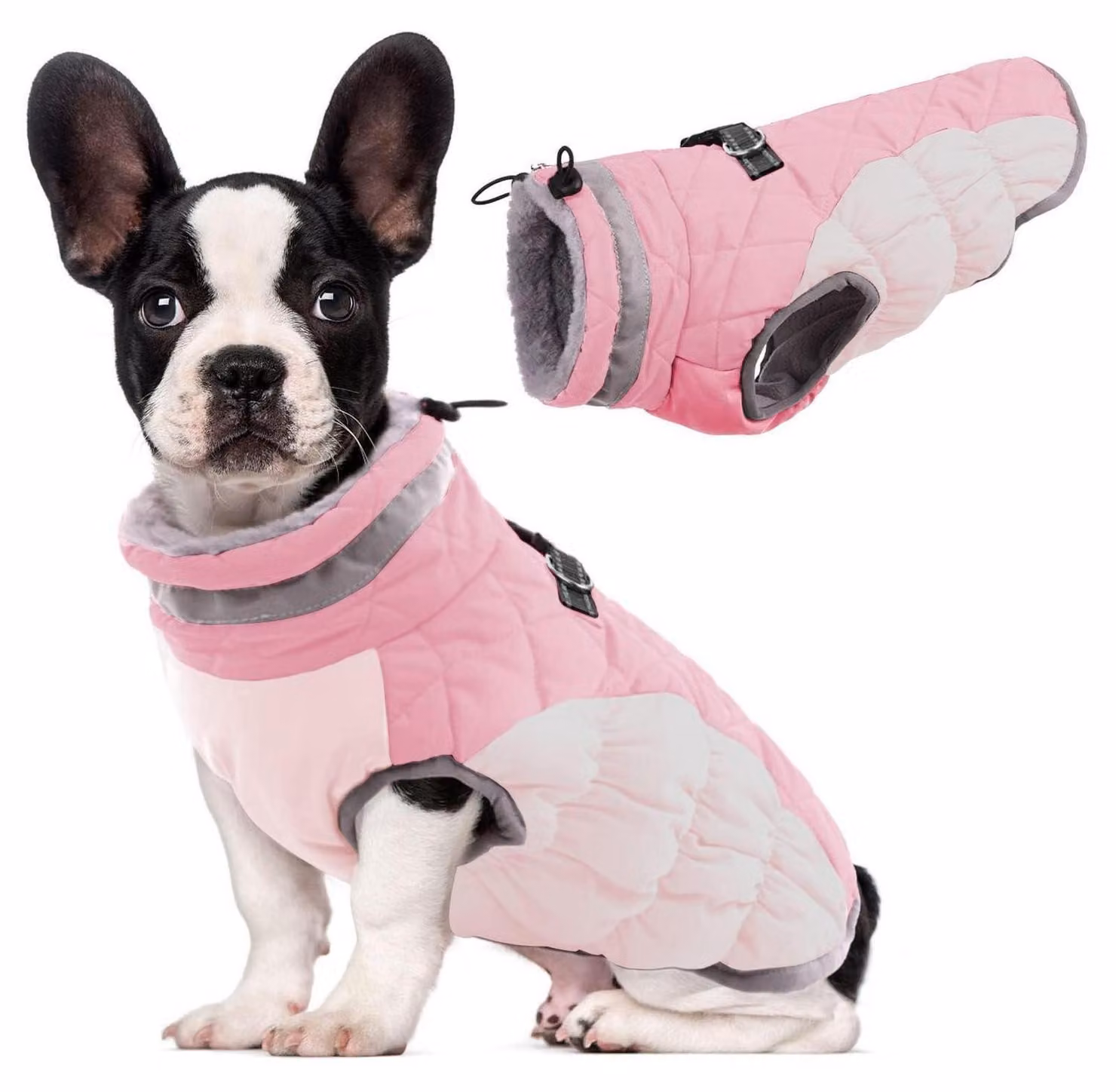 Cappotto per cani, invernale, antivento, colore rosa, taglia S