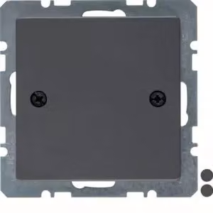 Berker 10096076 Tappo cieco con elemento centrale e fissaggio a vite, antracite, con Berker Q.