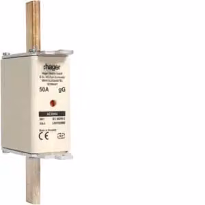 Cartuccia fusibile NH NH1C gG 690 V 50 A con segnalatore combinato e linguetta di presa in metallo