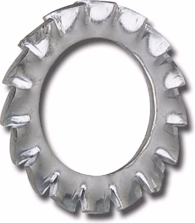 Rondella a lamelle con dentatura esterna, ø M20, rondelle di sicurezza DIN 6798A, acciaio zincato