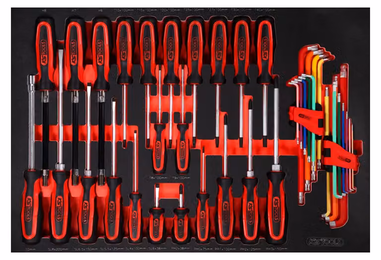 KS TOOLS Set di cacciaviti con inserto in schiuma 41 pezzi - 811.0041