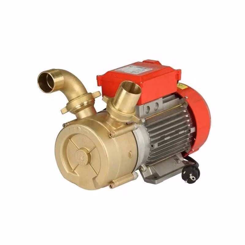 Elettropompa di travaso Rover da 50 mm in ottone e acciaio inossidabile color bronzo – 2
