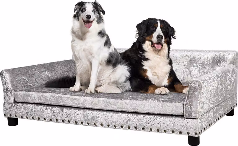 WISFOR Divano per animali domestici con schienale, divano per cani con struttura in legno, materassino per cani, XL: 120 x 74 x 40 cm