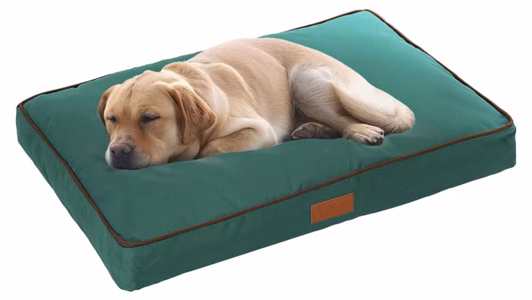 Omgoods - Cuccia per cani, adatta a gabbie da 48 pollici - Verde, impermeabile