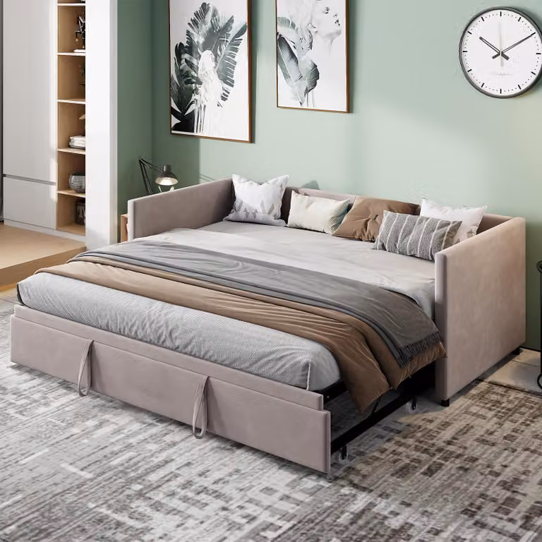 ProximaX, divano letto trasformabile, 90x200 cm, grigio, in velluto, 2in1: divano e letto, con funzione di letto per ospiti