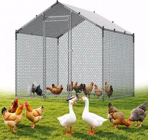 VEVOR Grande Pollaio in Metallo Grigio Impermeabile con Tetto a Guglia e Serratura di Sicurezza per Anatre e Conigli L/P/H: 2 x 2 x 2 m