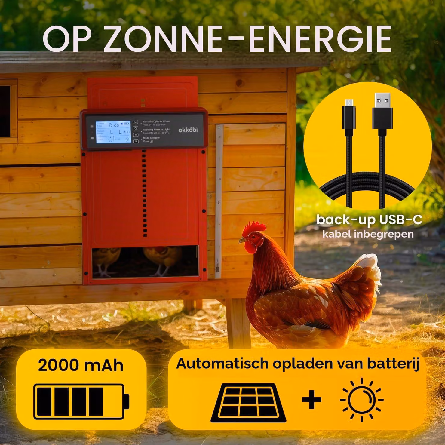 Porta automatica per pollaio, alimentata a energia solare - Display LCD con timer - Dimensioni: 24,4 x 4,5 x 33 cm