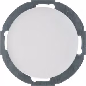 Berker 10092079 Tappo cieco con elemento centrale bianco polare, lucido Serie R.classic