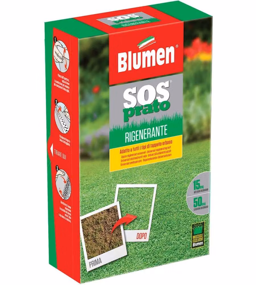 Blumen Prato Forte Rigenerante 500 g - Semi per Prato Verde e Sano