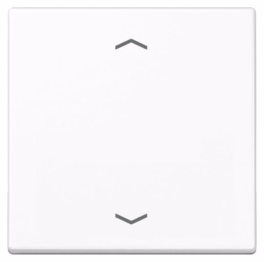 Pulsante di comando Jung Simboli standard Frecce A 1700 P WW
