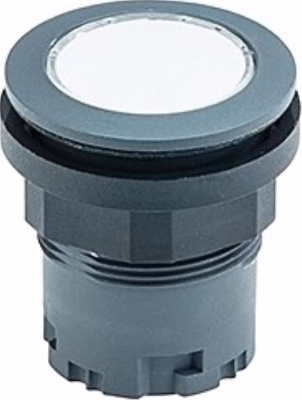 Georg Schlegel Pulsante illuminabile, rotondo, RONDEX-JUWEL Corsa 6,0 mm - 1 pezzo