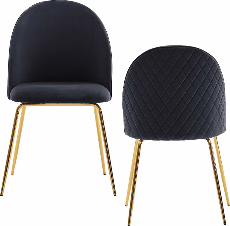 WOHNLING Set di 2 sedie da sala da pranzo in velluto nero imbottite Sedie da cucina in tessuto con gambe dorate Sedie a guscio Sedie imbottite in stile scandinavo con rivestimento in velluto