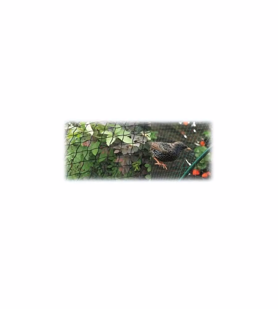 Rete P/Uccelli Difengreen H400Rt Ml 250