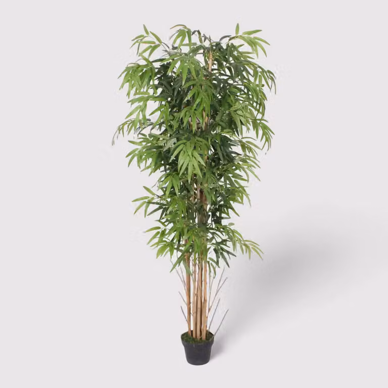 Kauda - Pianta decorativa di bambù con foglie artificiali H 180 cm