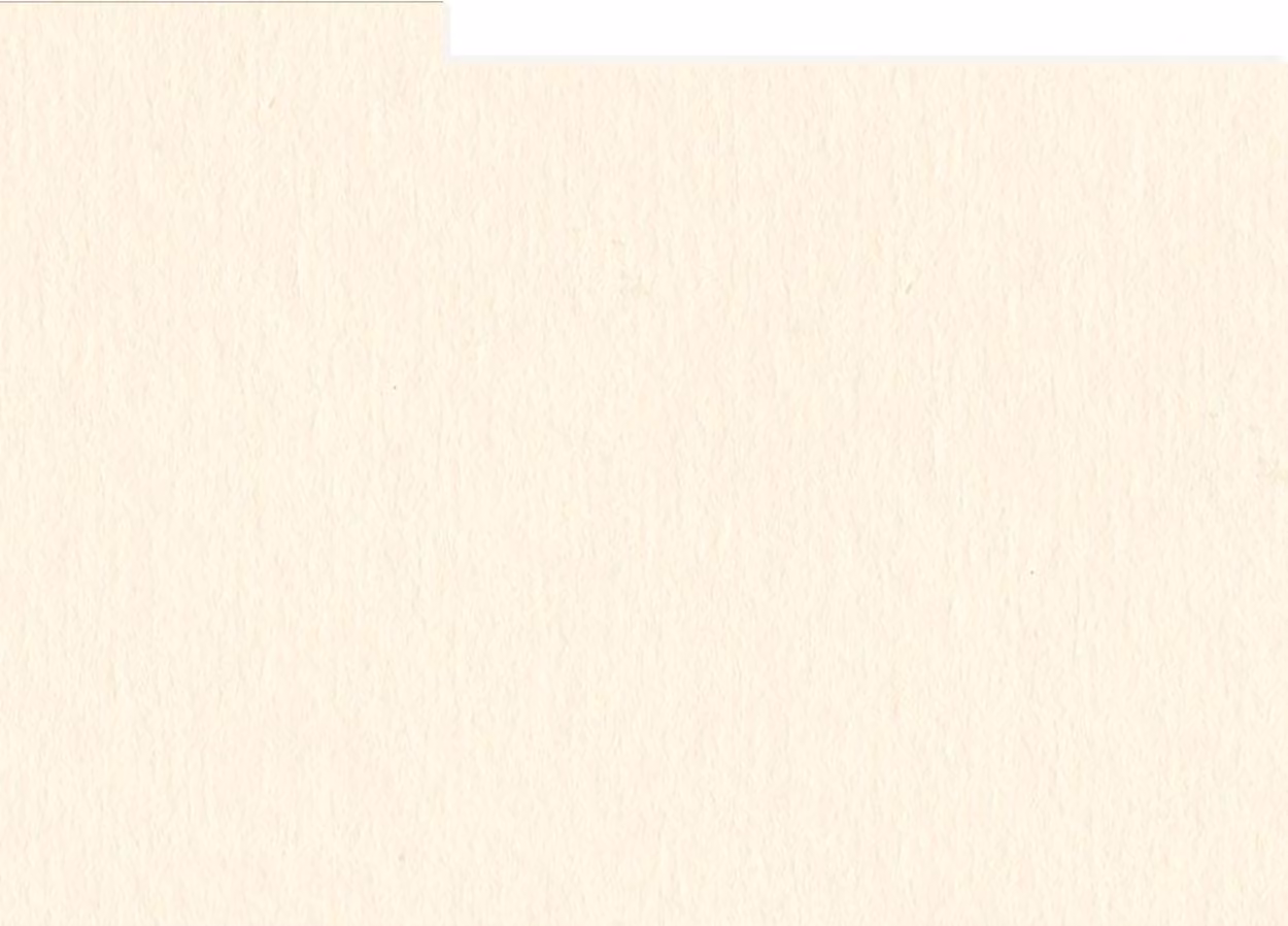 HNFD, divisori per fotobox, modello Conchiglia, dimensioni 10,5 x 15,6 cm, confezione da 20 pezzi