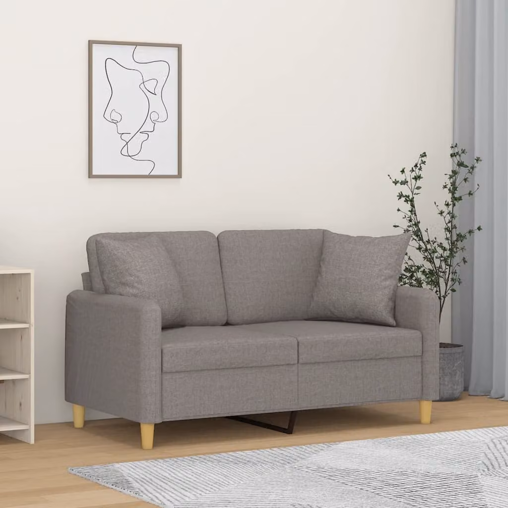 vidaXL Divano a 2 Posti Moderno in Tessuto con Cuscini, L: 138 cm, P: 80 cm, H: 77 cm, Colore Grigio/Beige – 1