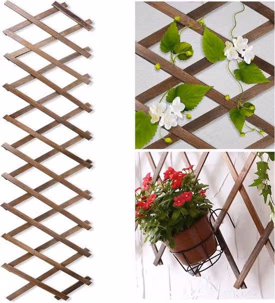 Decorazione giardino all'aperto pianta arrampicata traliccio di legno telaio estensibile recinzione - per esterni