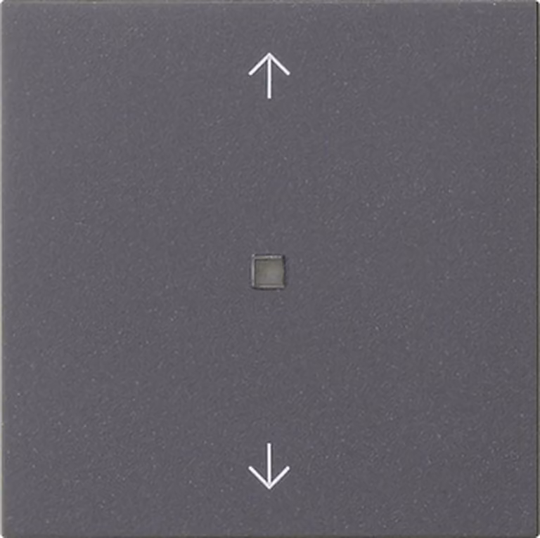Pannello di comando Gira S3000 BT con frecce, sistema 55, antracite 538228