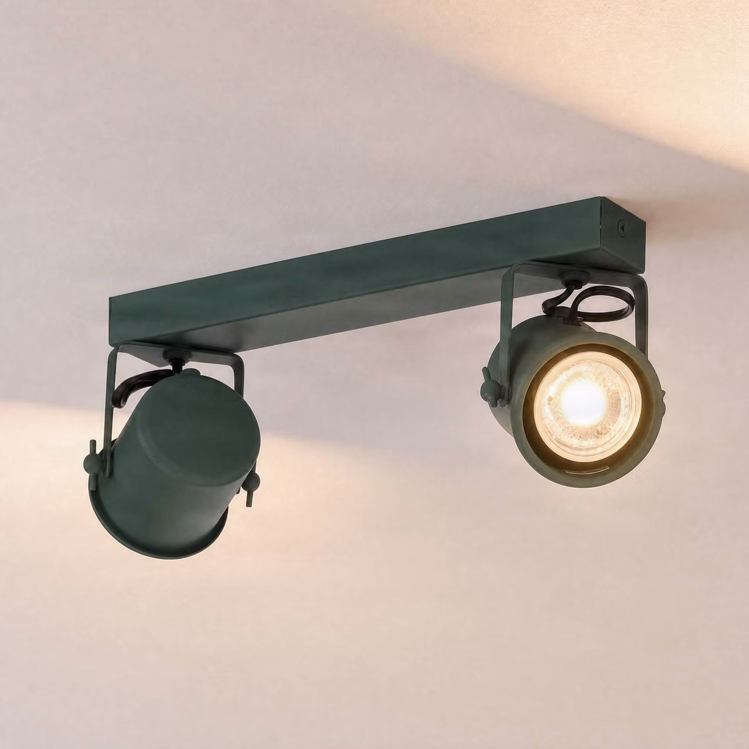 Faretto da soffitto Canico, a due luci, verde Canico Argon, dimmerabile, Verde, Soggiorno / Sala da pranzo, Metallo, Moderno, Faretto alogeno