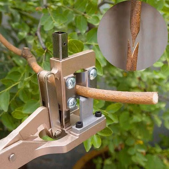 Forbici da giardino in alluminio per alberi da frutto
