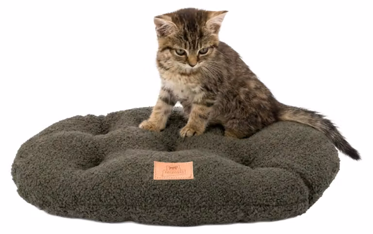 Cuscino per cuccia Ferplast, adatto per cani di piccola taglia e gatti, realizzato in materiale sintetico lavabile