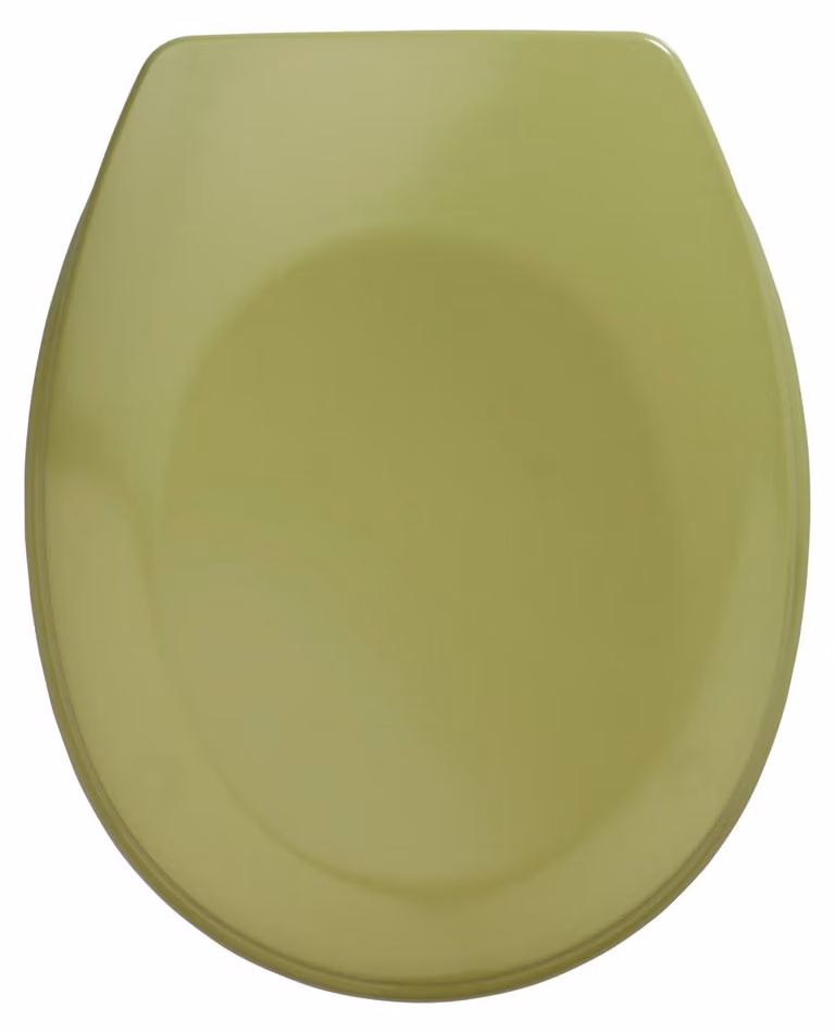 WENKO Sedile per WC Bergamo verde muschio in acciaio inox Sedile per WC bagno ospiti