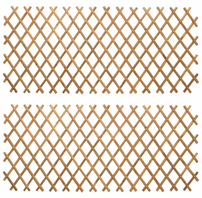Recinto Trellis Espandibile 2 pcs Marrone Chiaro 100 x 105 cm