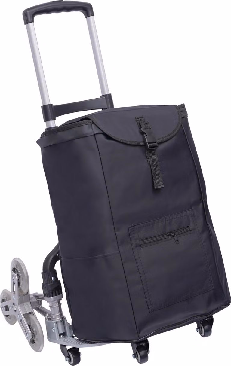 Carrello saliscale, alta capacità di carico, design ergonomico, nero