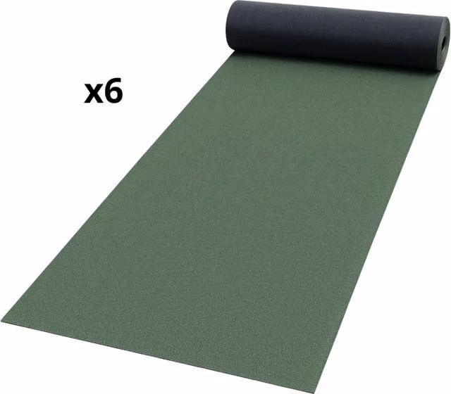 Guaina impermeabilizzante ardesiata verde Casasciutta per terrazze, 6 rotoli da 1x10 m