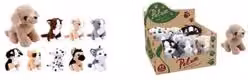 Peluche di cane o gatto assortito PELUX multicolore, Altezza: 18 cm