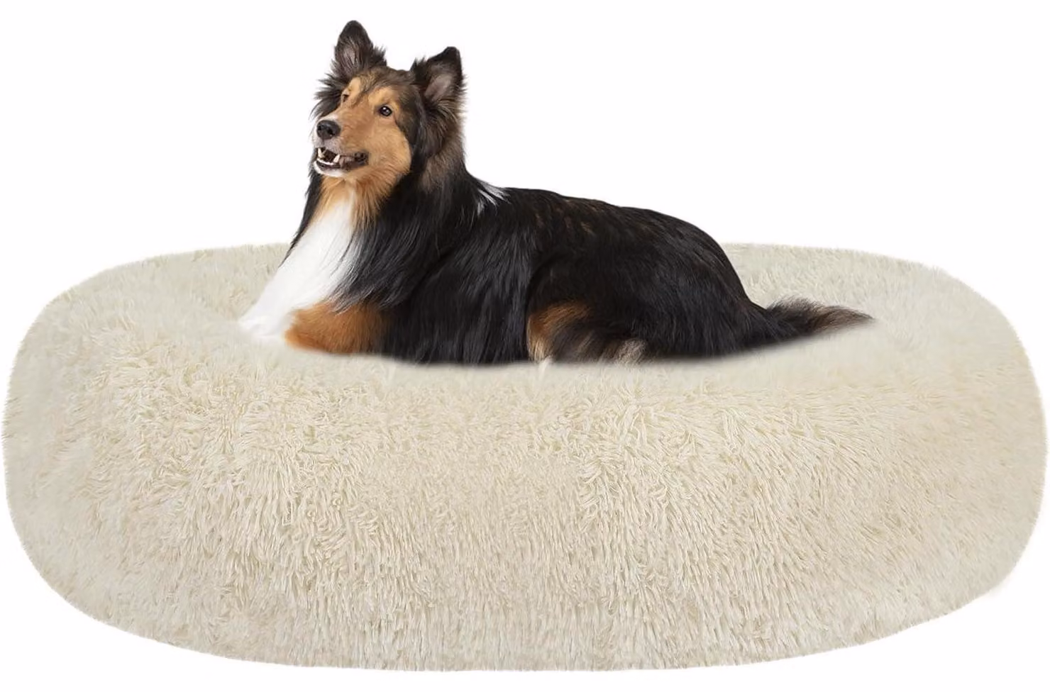 Cuccia ortopedica per cani, forma a ciambella, lavabile, diametro 80 cm, color beige