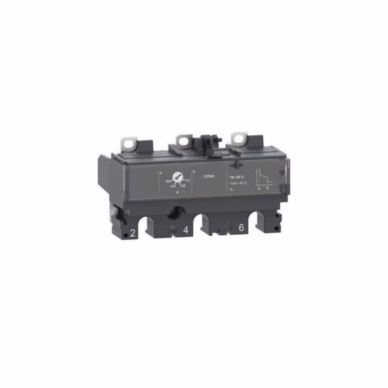 Dispositivo di sgancio termomagnetico Schneider Electric C163TM125