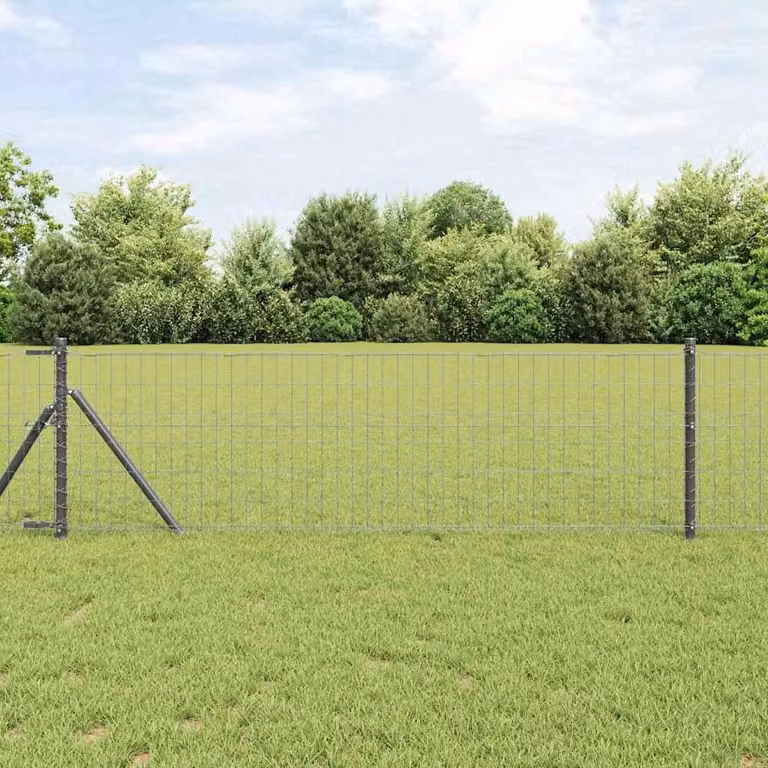 Maison Exclusive - Recinzione con Posto Grigio 0,6 x 10 m Acciaio e PVC